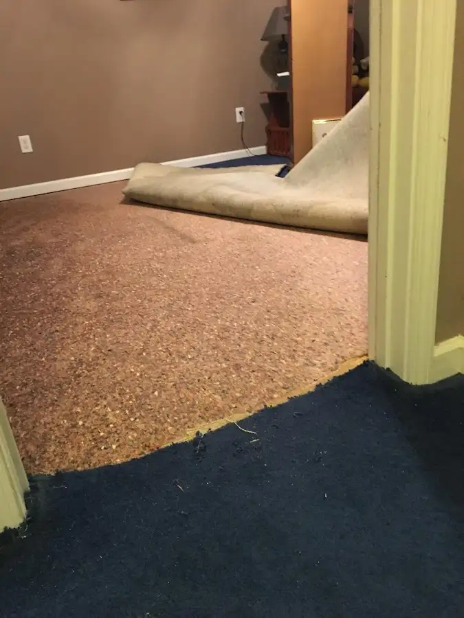 Carpet pad removal revealing water damage during Water Mitigation Services in Aventura