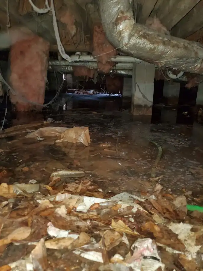 Crawl space flood assessment for Leak Detection & Repair in Aventura